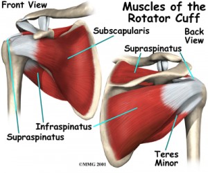 shoulder pain no more 