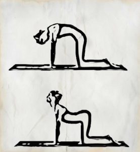 Yoga Exercises for Lower Back Pain 