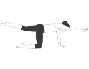 2 Best Lower Back Strengthening Exercises